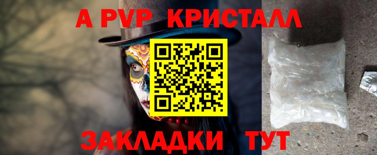 A PVP СК Кемерово